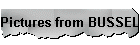 Pictures from BUSSELTON